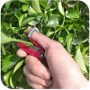 Vegetable Thump Knife Separator Vegetable Fruit Harvesting Picking Tool for Farm Garden Orchard #40 5