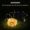 Solar String Fairy Lights 12m 100LED / 5M 50 LED  Waterproof Outdoor Garland Solar Power Lamp Christmas For Garden Decoration 3